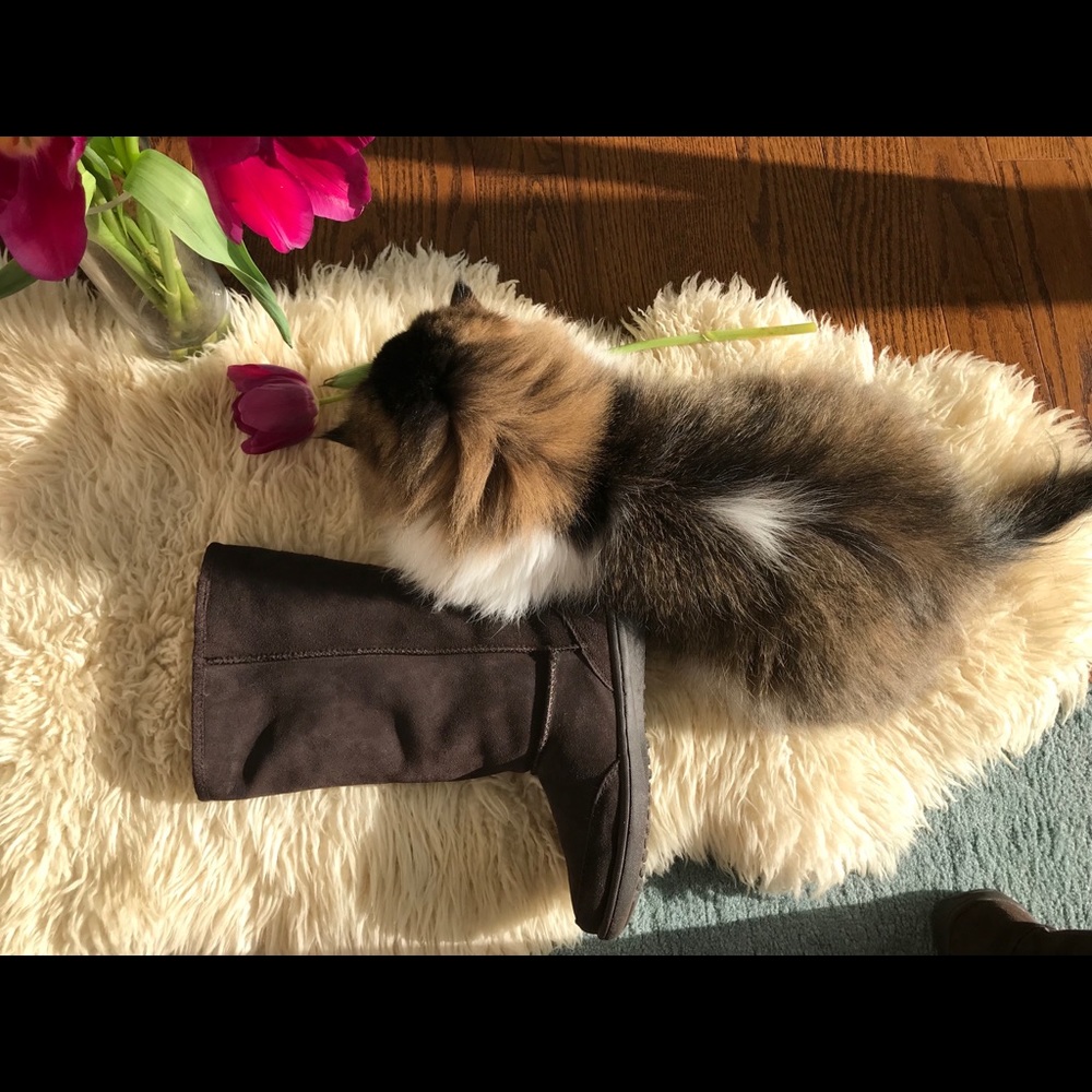 NWOT Nine West Dark Brown Suede boots